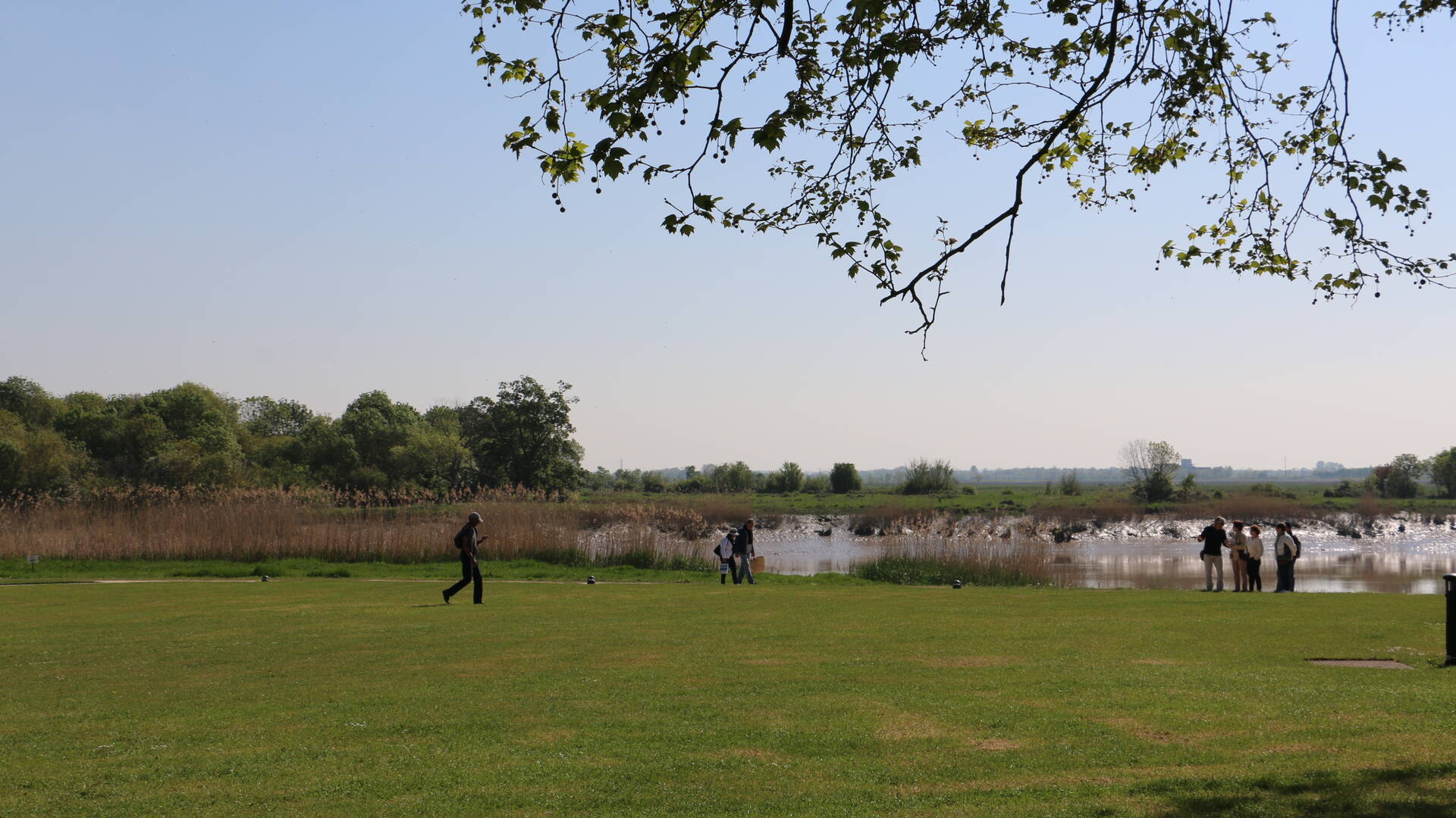 Bords de Charente © M. Domenici