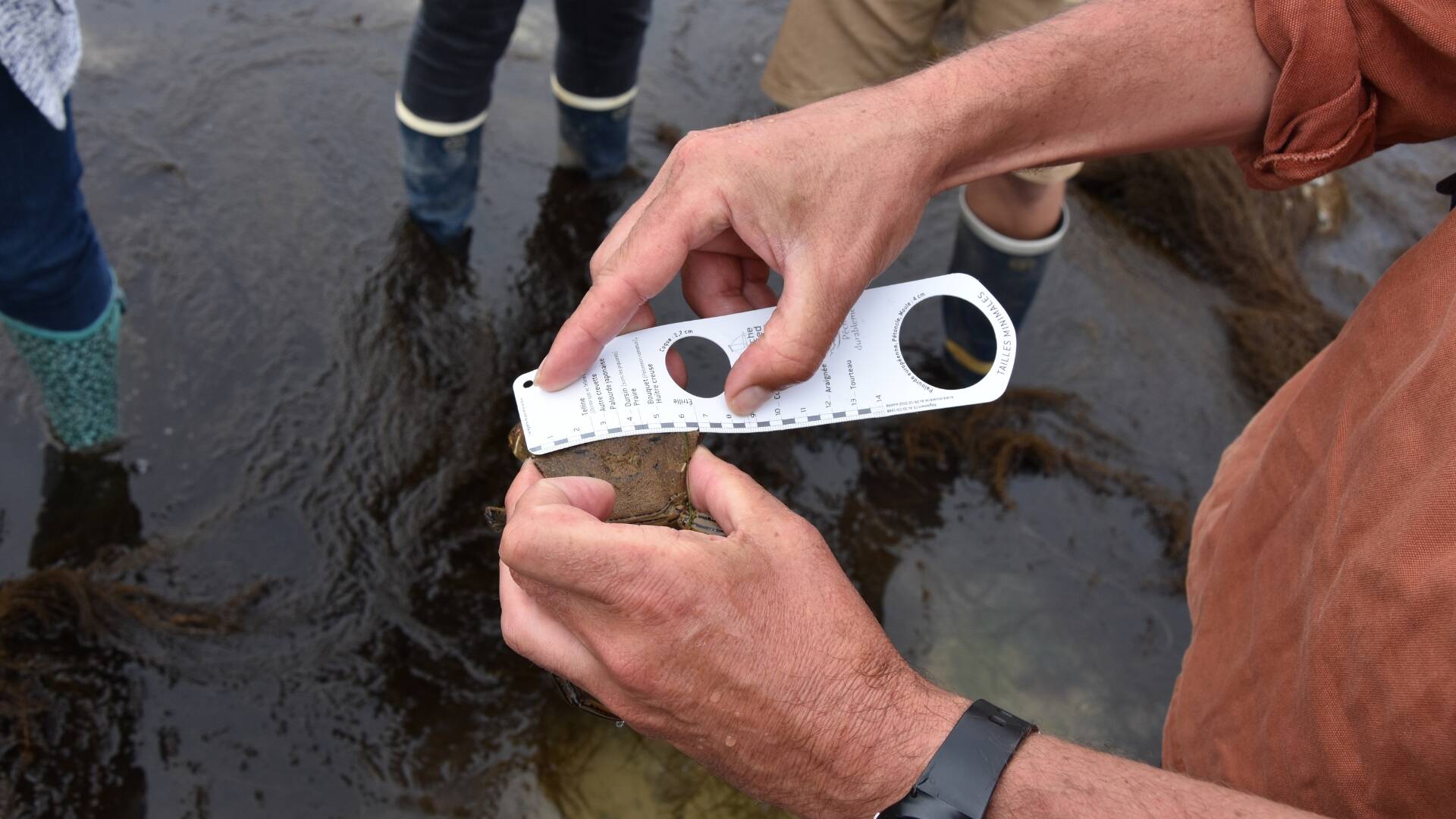 Réglette de pêche