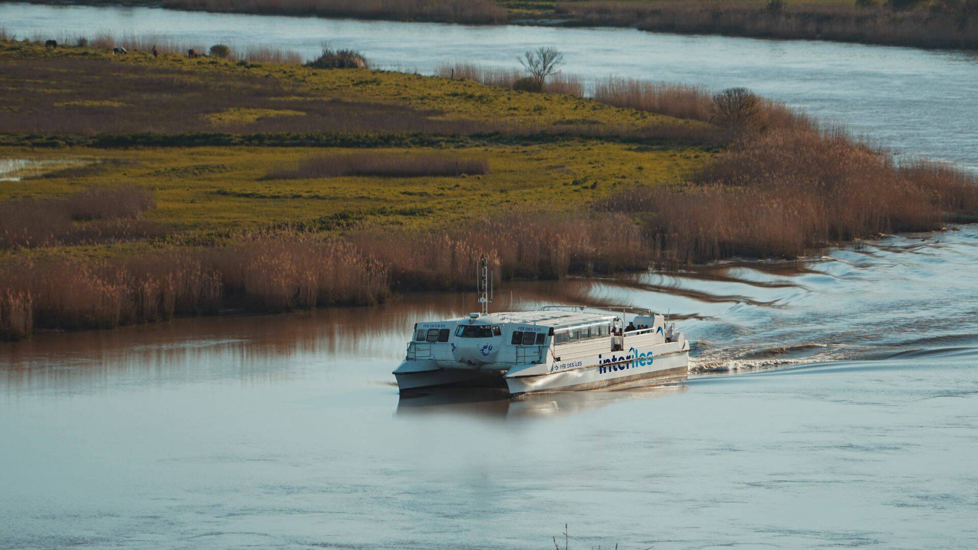 Croisière sur la Charente