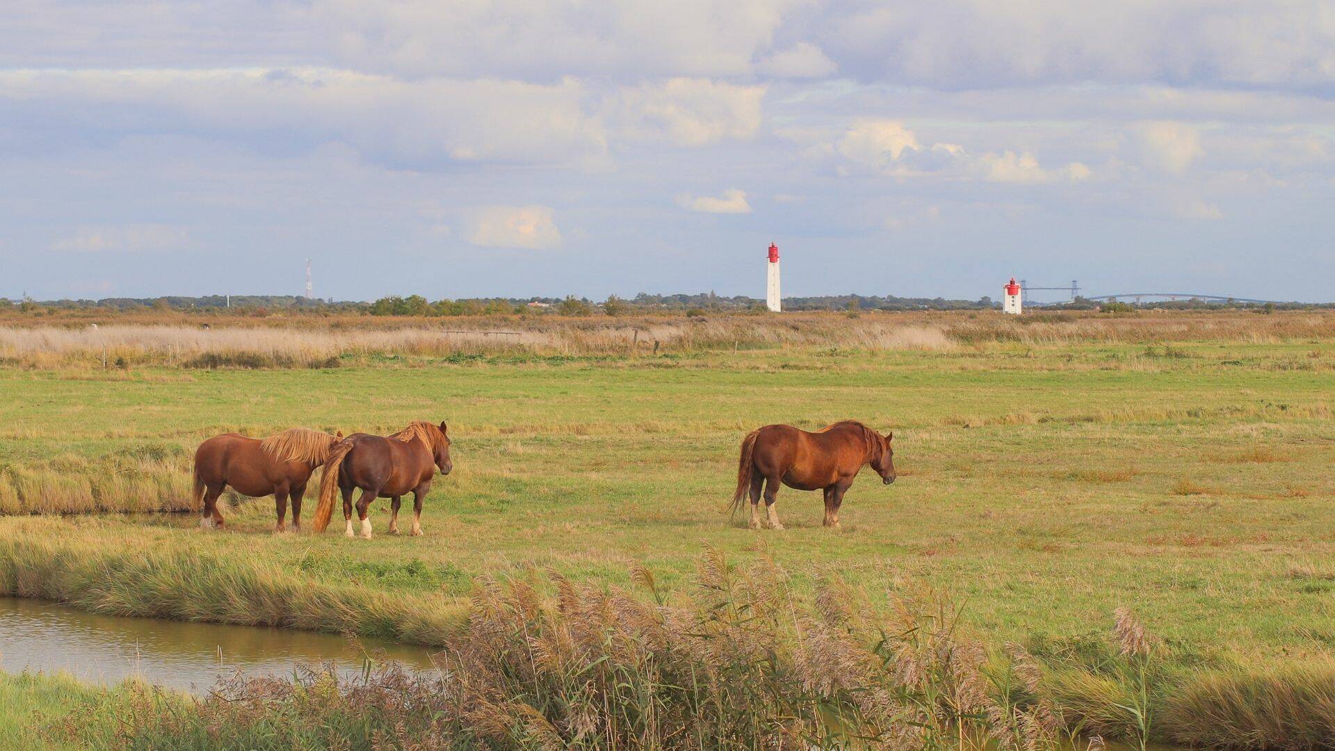 Marais de Rochefort Océan 