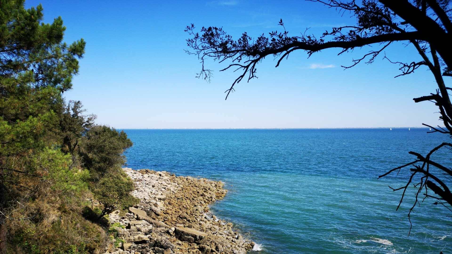 Crique de l'île d'Aix 