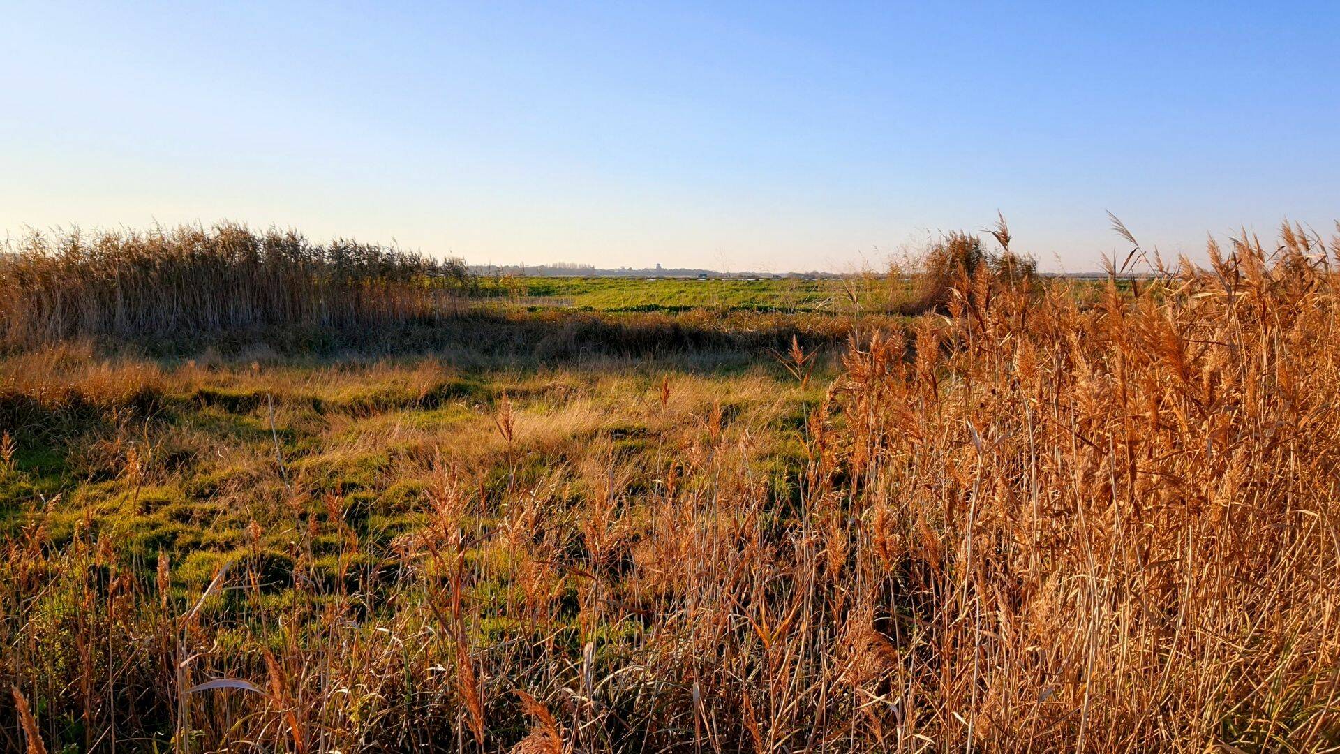 Marais à Rochefort Océan 