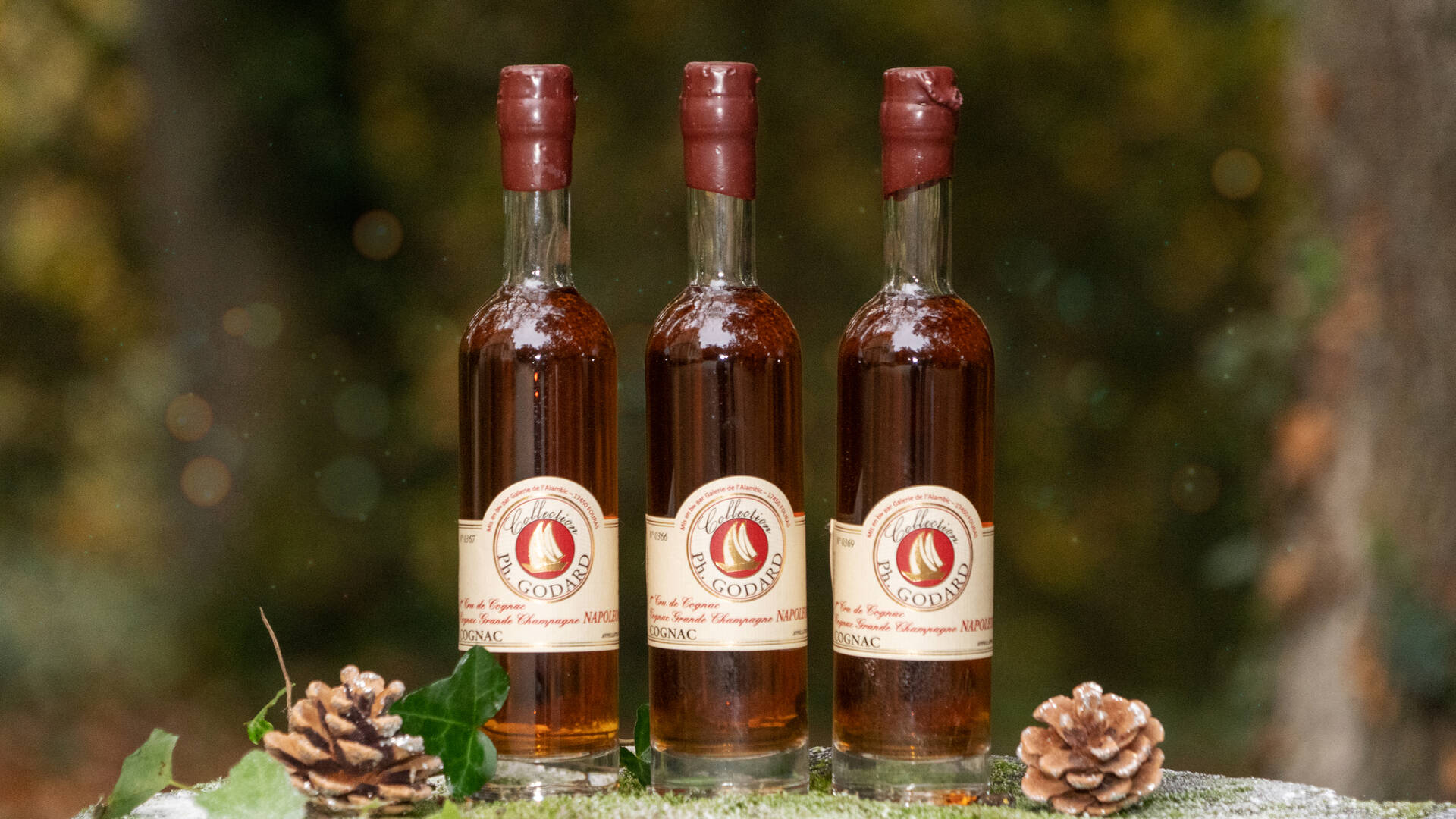 Cognac à offrir à Noël ©S. Hammad