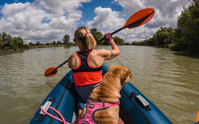 Venir avec son chien à Rochefort Océan