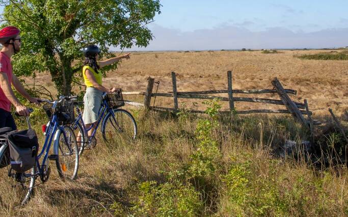 Les bords de Charente : un point de vue remarquable sur Rochefort