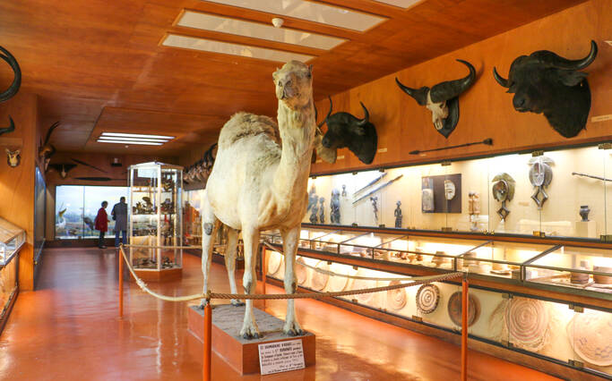 Musée Africain de l’île d’Aix