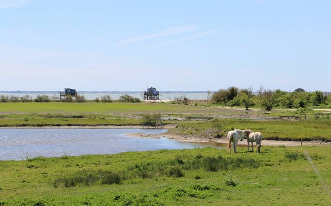 La Ferme Aquacole à l’île Madame