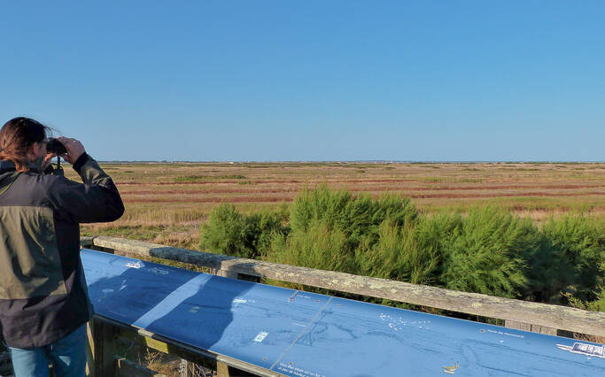 Nature Reserves of Rochefort Ocean 