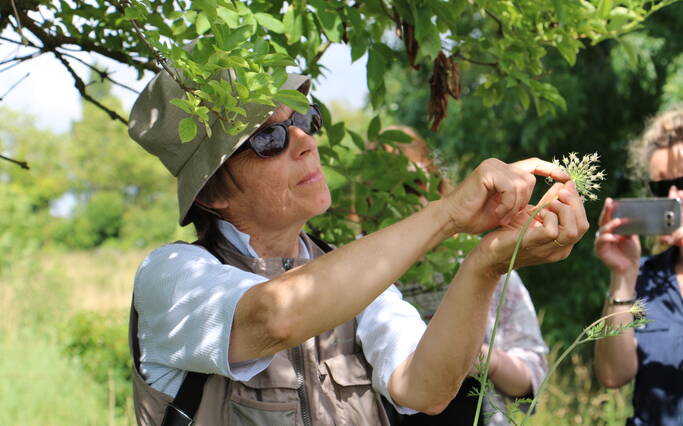 Grüner Tourismus