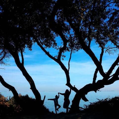 Les Sylphides de l'île d'Aix - © Petibowom