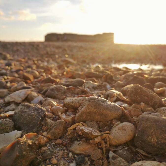 visite-guidee-fort-enet-fouras-les-bains-rochefort-ocean © Caroline Jarry