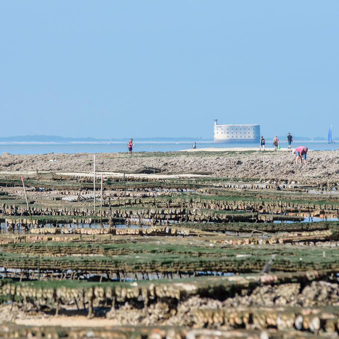 Foot fishing with a view of Fort Boyard