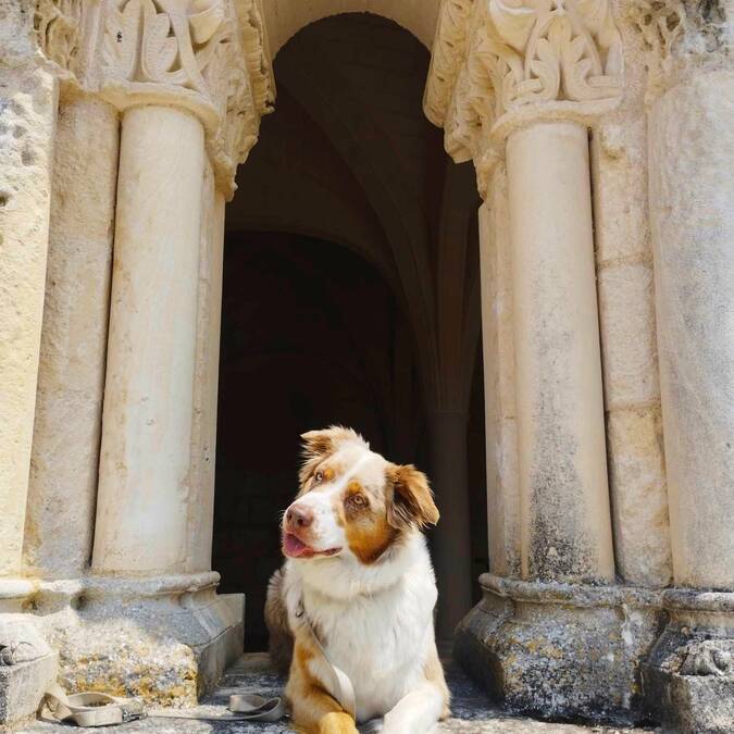 Abbaye Trizay