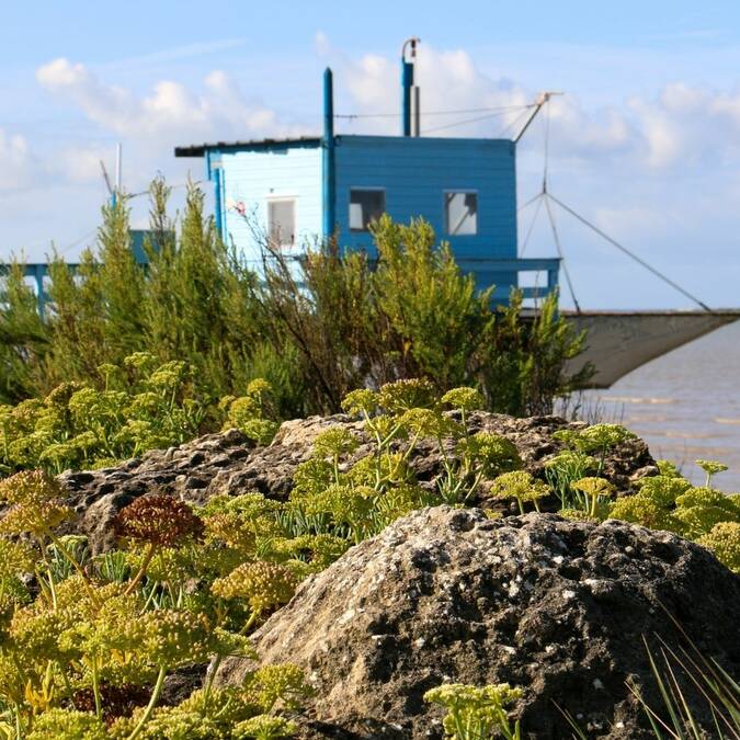 Carrelet à Fouras-les-bains