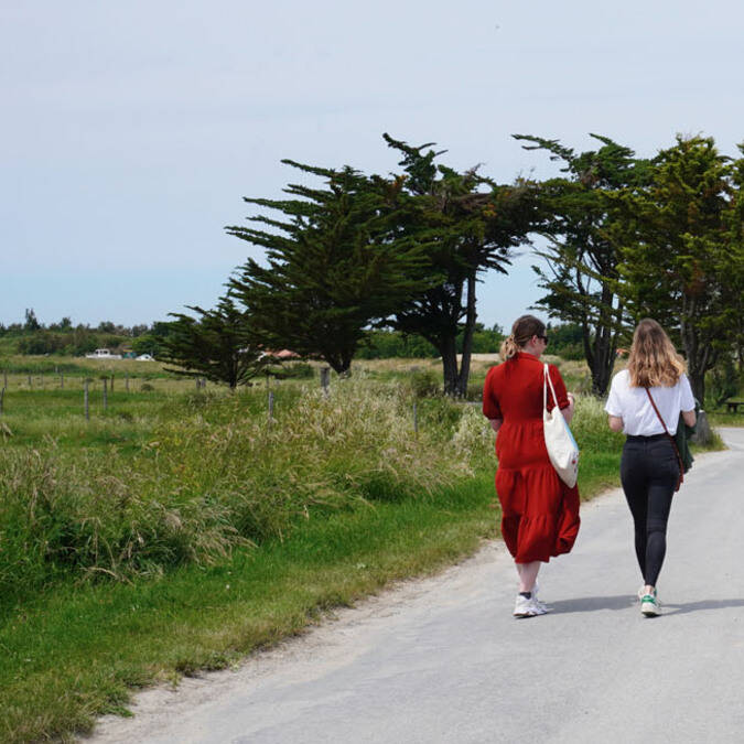 Promenade, île d'Aix 