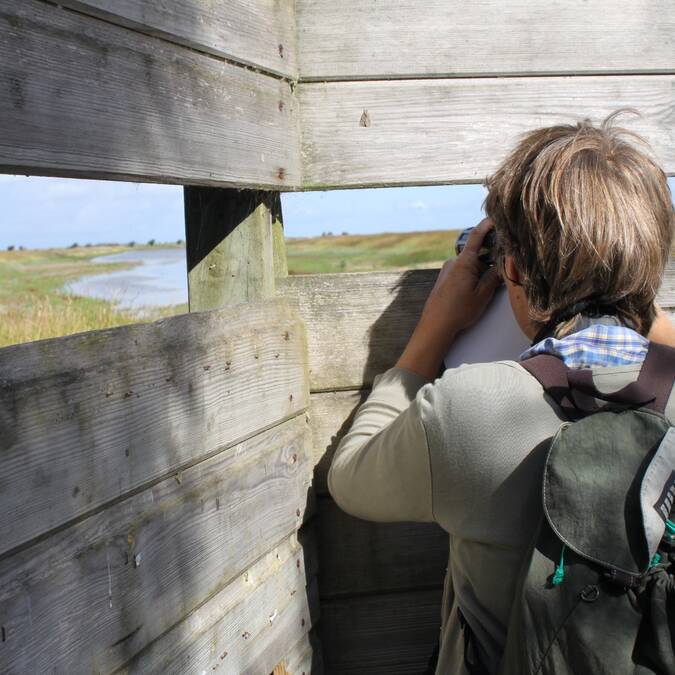 Observation d'oiseaux à Rochefort Océan © Christine Lacaud Office de Tourisme Rochefort Océan