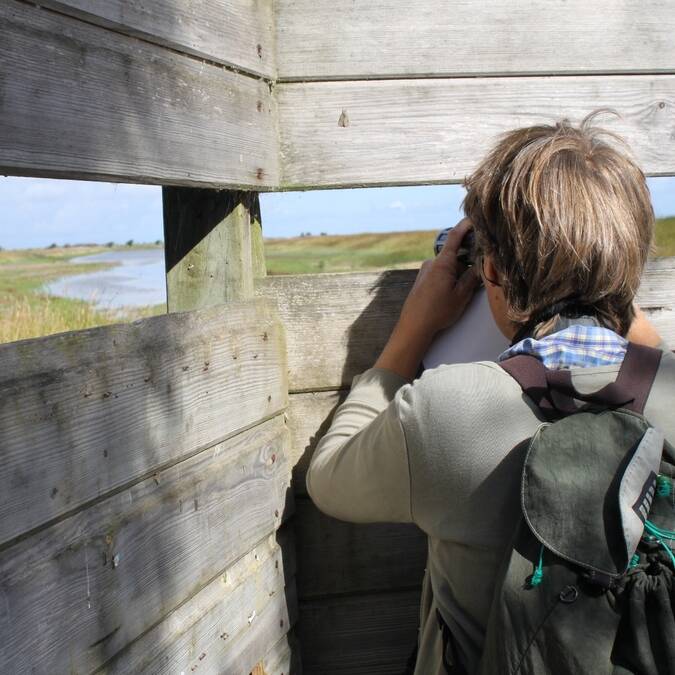 observation-reserve-naturelle-moeze-rochefort-ocean © Christine Lacaud