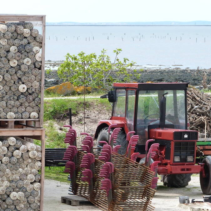 ostreiculture-fouras-les-bains-rochefort-ocean © Cécile Cailhol