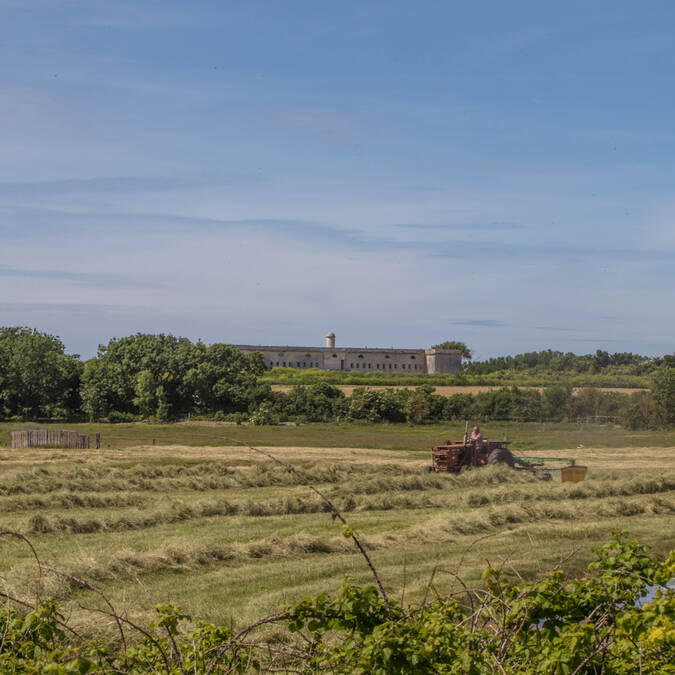 Le fort de l'île Madame