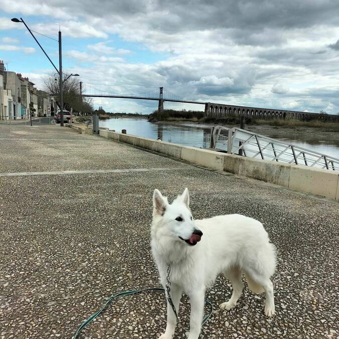 Quais Tonnay-Charente