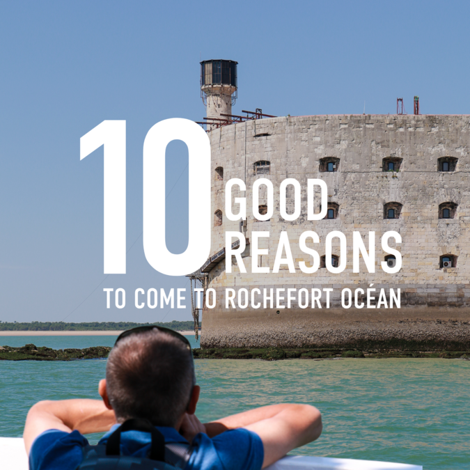 10 good reasons to come to Rochefort Ocean 